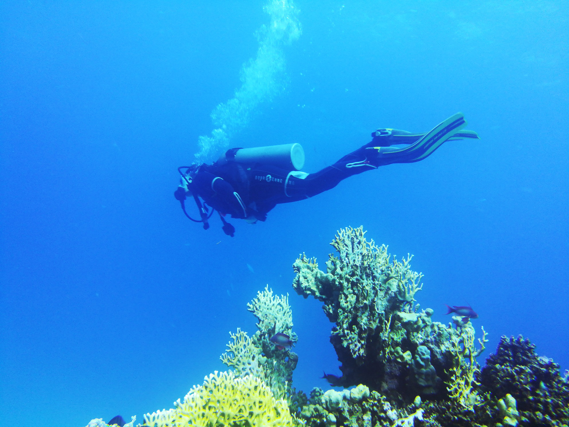 PADI OPEN Water